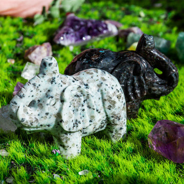 Crystal Elephant¡¾LIMITED SALES¡¿